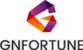G AND N FORTUNE LIMITED